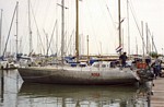 Schorpioen als Rosa, mei 1994